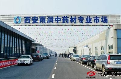开创西安雨润中药市场新未来