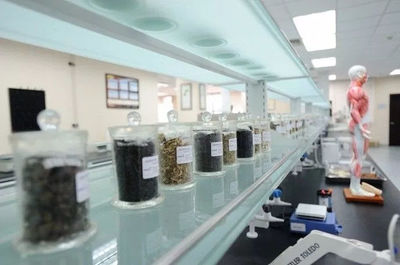 哪家保健食品巨头聚焦研发中草药了,你知道吗?
