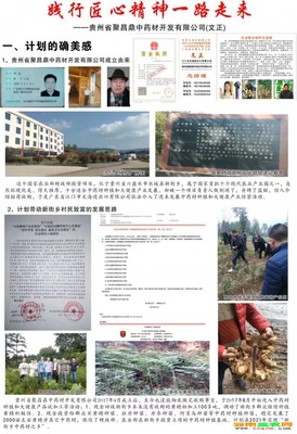 吴茱萸多少克-? 吴茱萸用多少?贵州昌鼎中药材公司